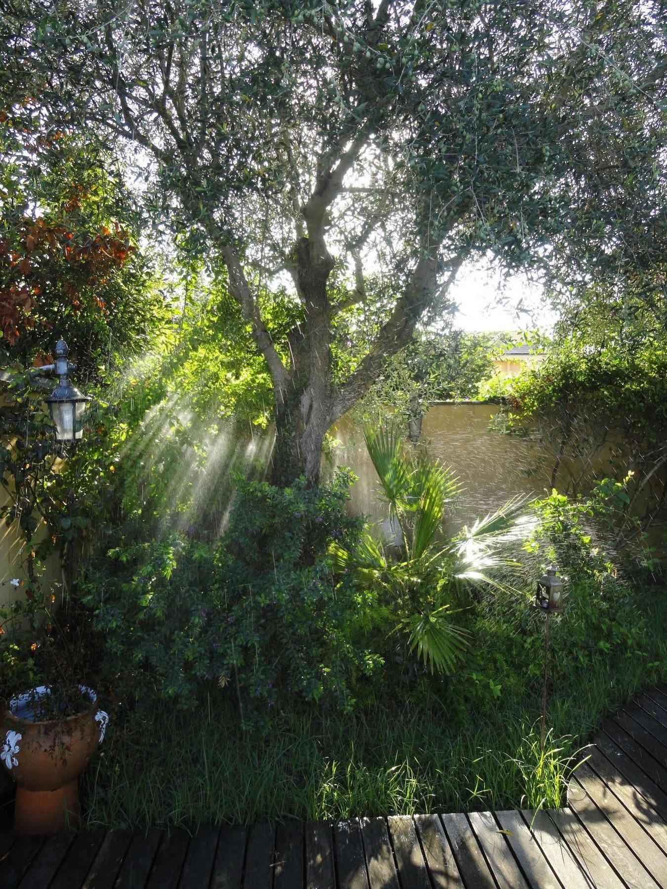B&B Le Lanterne Casal Palocco Luaran gambar